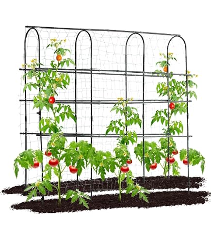 Haxnicks Carrot Patio Planter in 2pc Set, 2 items