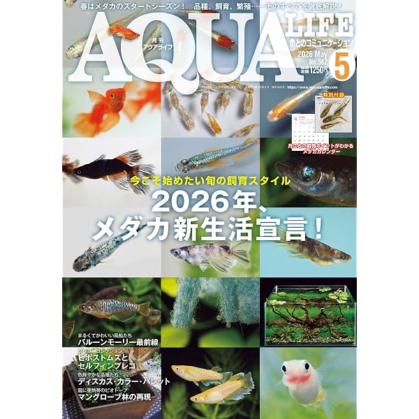 月刊アクアライフ 2021年01月号 2021年アクアリウム超図鑑800 ☆特別