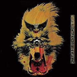 Amazon.co.jp: 狂った太陽 (デジタル・リマスター盤): ミュージック