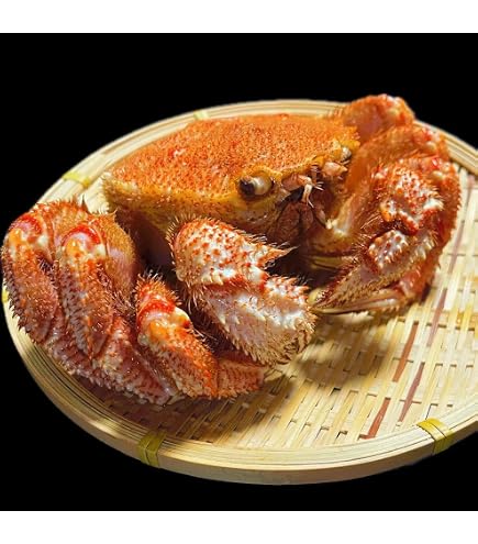 【北海道産】 訳アリ活毛蟹 (6～8尾・約2kg)◆毛ガニ 毛がに けがに 活 北海道産】 訳アリ活毛蟹 (6～8尾・約2kg)◇毛ガニ 毛がに けがに