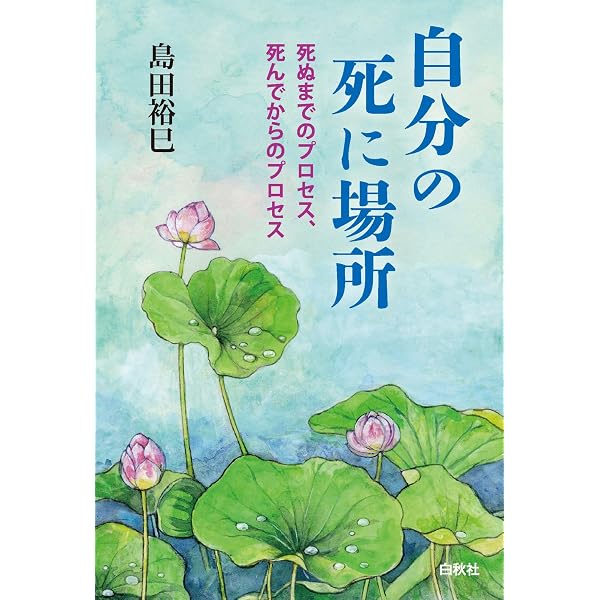 Amazon.co.jp: 生きている死者との対話 精神科医カウンセリング治療30