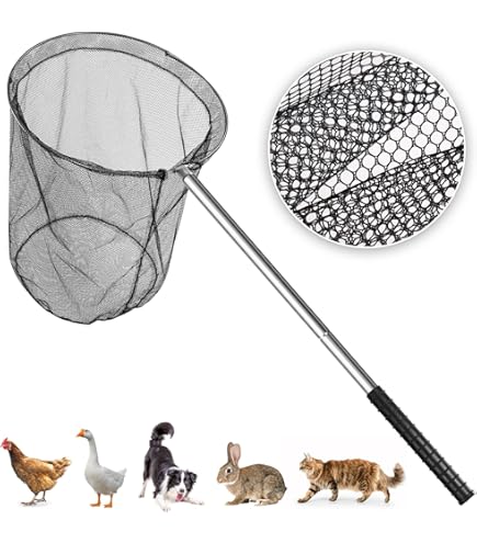 Amazon.co.jp: 猫網 ねこあみ 動物用保護網 保護ボランティア向け 猫を