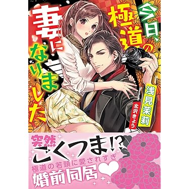 TL小説 文庫本 まとめ売り 80円商品　ティアラ文庫　蜜猫文庫　ヴァニラ文庫 TL小説 文庫本 まとめ売り 80円商品 ティアラ文庫 蜜猫文庫