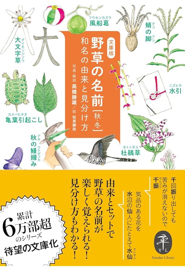 日本野生ラン花譜 全4巻 高橋勝雄 毎日新聞社 昭和62年発行 日本野生