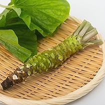 わさびページ Amazon | わさび栽培発祥の地 有東木の本わさび (特大サイズ1本