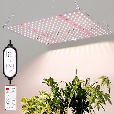 Amazon.co.jp 人気ギフトランキング: 植物育成ライト器具 で、ギフトの
