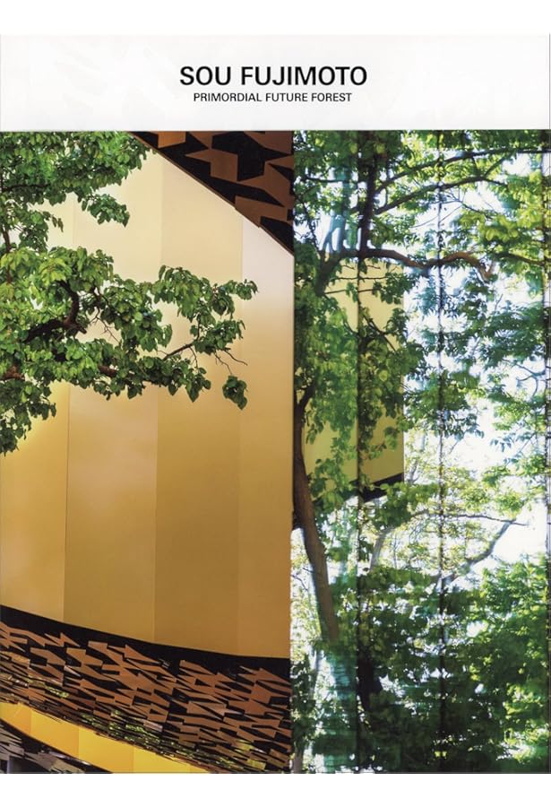 Amazon.co.jp: 現代住宅の「ディテ-ル」 : 藤本 壮介: 本