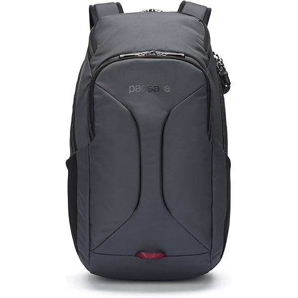 Amazon.co.jp: [パックセーフ] EXP35 トラベルバックパック 35L BLACK