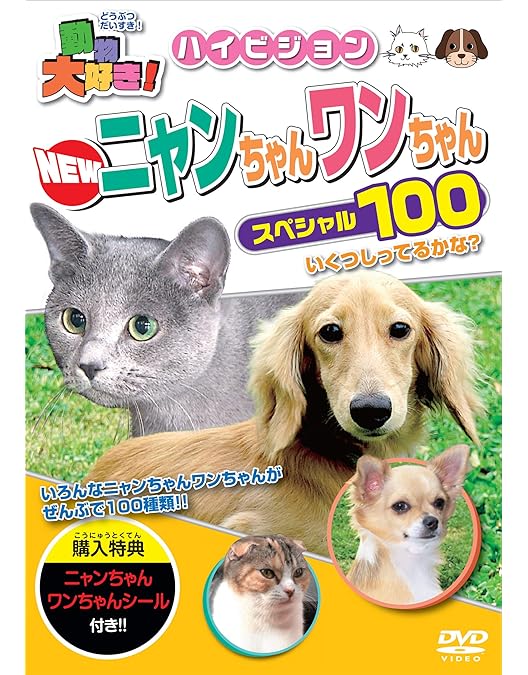 わんちゃん大好きニャンコちゃん Amazon.co.jp: 動物大好き!ワンちゃん・ニャンちゃんスペシャル