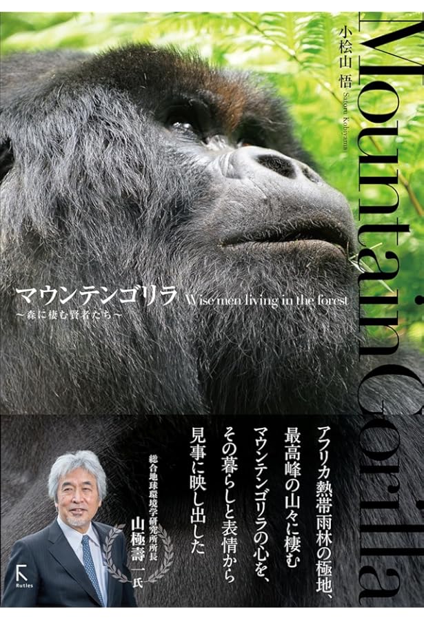 Amazon.co.jp: 火の山にすむゴリラ : 前川貴行: 本