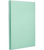 Amazon.co.jp: 100年台紙シリーズ A4サイズ バインダー式 10穴タイプ