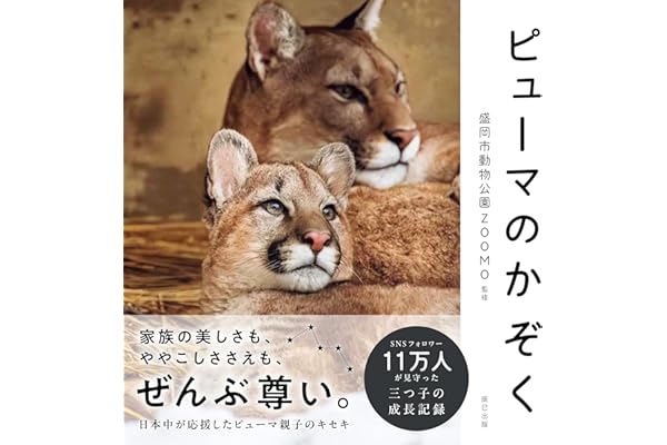 ピューマのかぞく