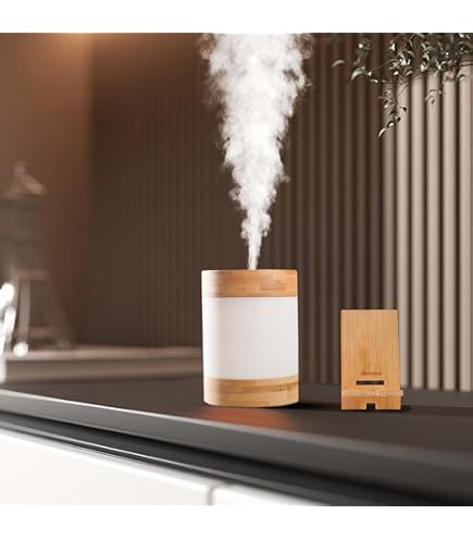 Amazon.co.jp: 【公式】Stadler Form Ben 加湿器 ホワイト 超音波式