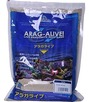 Amazon | （海水魚）Sグレードライブロック Sサイズ（1kg