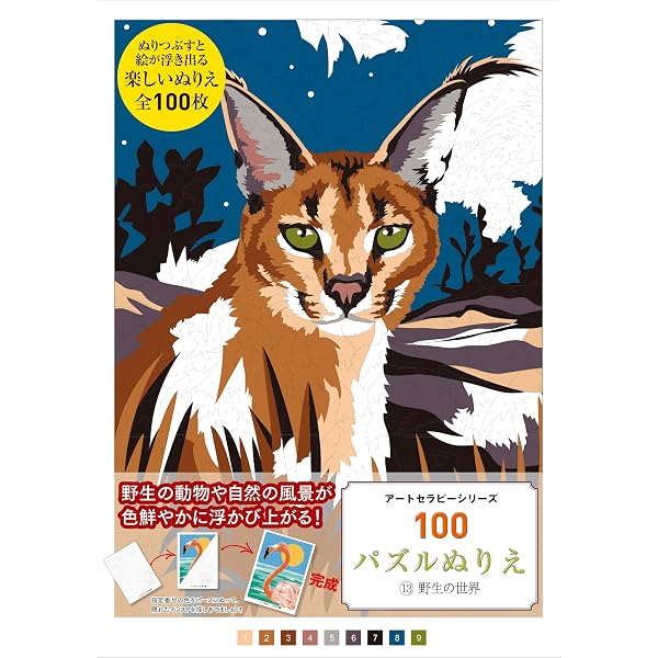 100パズルぬりえ&点つなぎ 2多彩な色 (アートセラピーシリーズ