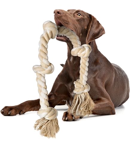 Amazon.co.jp: ロイヤルカナン ミディアムパピー,中型犬子犬用