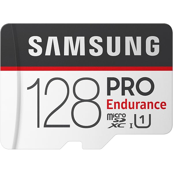 samsung endurance 256gb