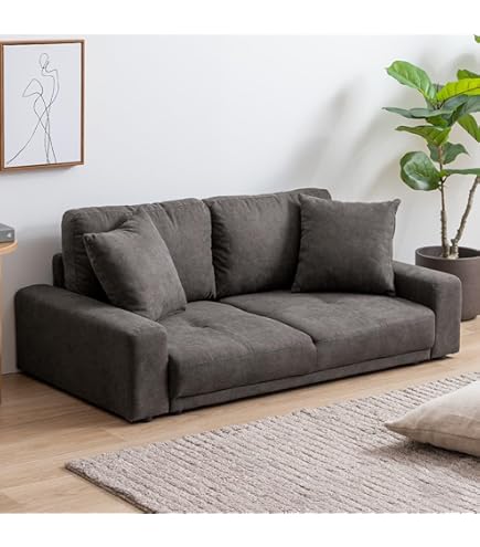 Amazon｜BBファニシング NOVEMBER 2Pソファー コーデュロイ ブラウン