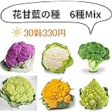 ウクレレ園芸SHOP 花甘藍Mix 種子 0.2㎖330円 ４色カリフラワーと、ブロッコリー、ロマネスコの種 家庭菜園 観葉植物 野菜の種 vegetable seeds