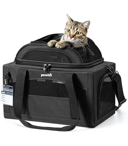 Amazon.co.jp: カインズ(CAINZ) ペットキャリー 幅46cm 奥行69.5cm 高