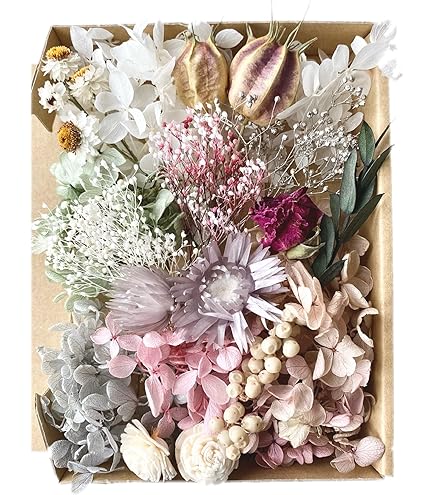 Amazon | ドライフラワー 詰め合わせ 花材セット MIX (パステル系 