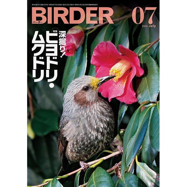 BIRDER（バーダー）2025年8月号 鶏（ニワトリ）と鶉（ウズラ