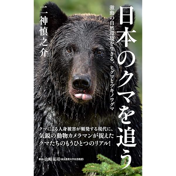 ヤマケイ新書 日本のクマを追う 激動の自然環境を生きる、ヒグマと
