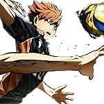 ハイキュー!! iPad壁紙 日向 翔陽(ひなた しょうよう) ハイキュー!! iPad壁紙 日向 翔陽(ひなた しょうよう)