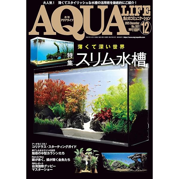 月刊アクアライフ 2025年11月号 僕たちの好きな水草 ☆特別付録☆水草