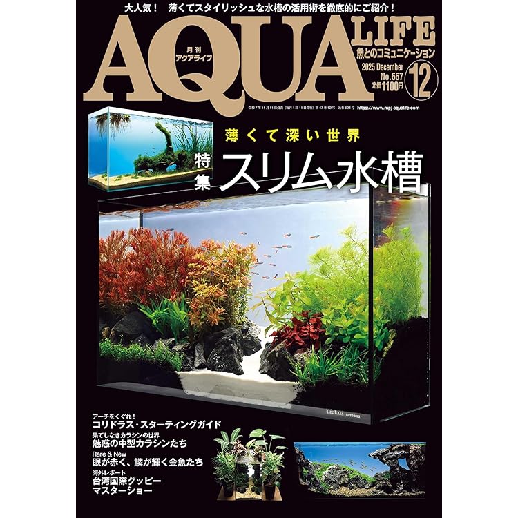 月刊アクアライフ 2025年11月号 僕たちの好きな水草 ☆特別付録☆水草