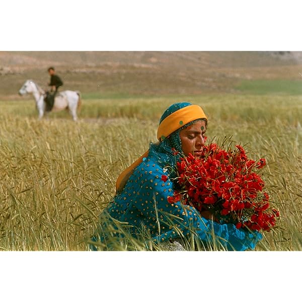 Amazon.co.jp: キートン全短編集-4枚組- [DVD] : バスター