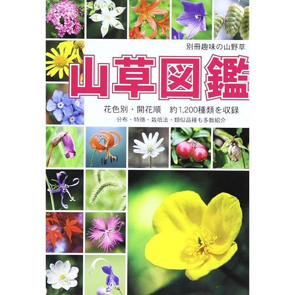 四季の山野草 身近な草花453種 | 森田吉重, 神戸山草会 |本