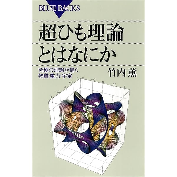 「次元の本」次元研究会 51nNws0ffSL._AC_UF350,