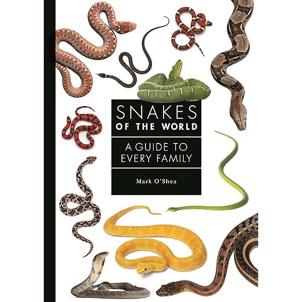 Amazon.co.jp: The Book of Snakes: A Life-Size Guide to Six