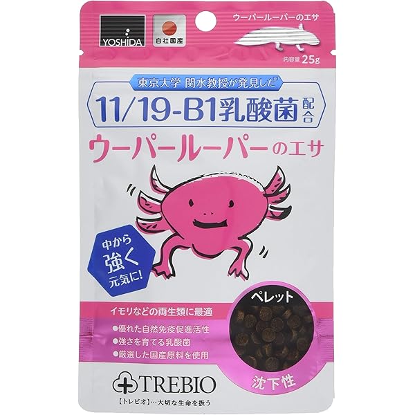 Amazon.co.jp: フィギュア パクッと！ウーパールーパー 1個入 : おもちゃ