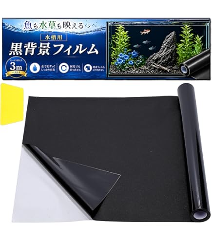 Amazon | GEXジェックス GXー11 バックスクリーン60写真付黒地