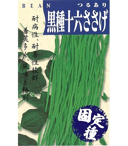 JPS様確認用専用 空芯菜種　ささげ種 Amazon.co.jp: 空芯菜＆十六ささげ2種類の種セット栽培期間中