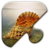 Jigsaw Puzzles Free Game - Chapter 12