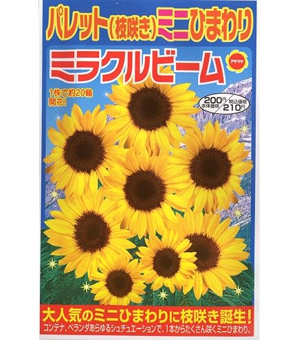 Amazon | 株式会社トーホク 秋咲きひまわり 00739 黄色 | 花