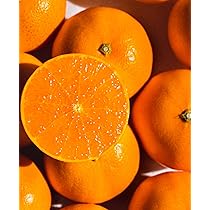 Amazon.co.jp: 紅まどんな 紅マドンナ ギフト お歳暮 みかん 愛媛県産