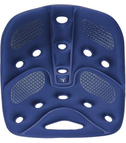 Amazon.co.jp: 【正規品】バックジョイ(BackJoy)骨盤サポートシート