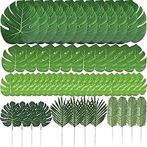 81kYPPiBkDL._AC_UL210_SR210,