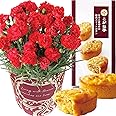 花のギフト社 母の日 花とスイーツ 花 鉢植え カーネーション 花鉢 プレゼント お菓子 スイーツ ボックス