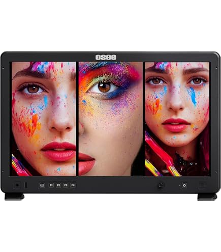 Amazon.co.jp: osee Mega 15S 15.4インチ 1500nit HDR フィールド