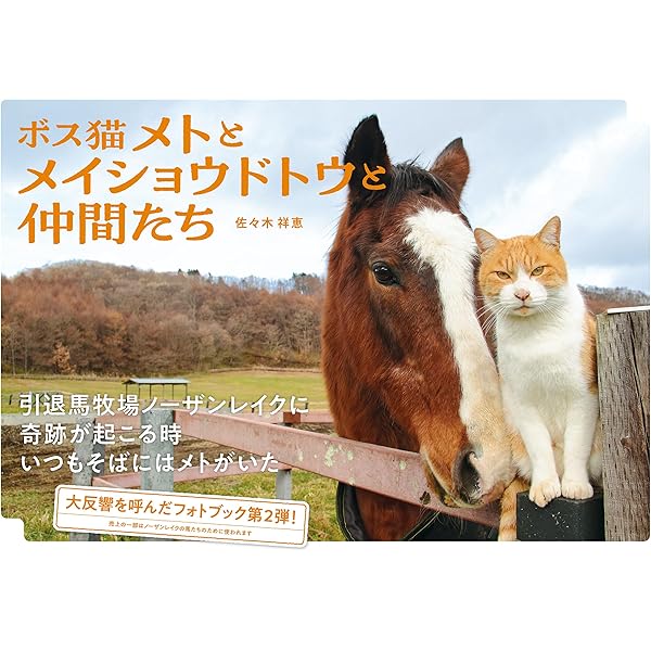 【現地直接引取のみ】週刊Gallopギャロップ 1993年〜1997年計192冊 週刊Gallop（ギャロップ） 臨時増刊 平成競馬全史｜定期購読
