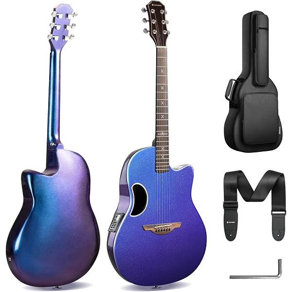 Amazon.co.jp: OVATION CE4412-5-G BLK Celebrity Elite 12-String Mid