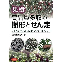 クリの作業便利帳: 作業改善と低樹高化で安定多収 | 荒木 斉 |本