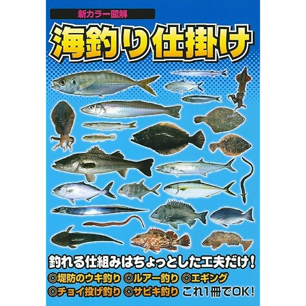 ひと目でわかる簡単!海釣り仕掛け集: 実用仕掛け77種 | 近藤 利紀 |本