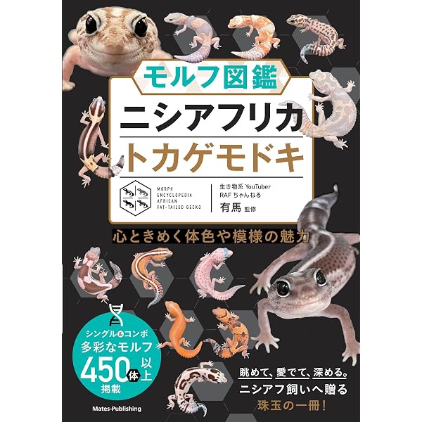 Amazon.co.jp: ヒョウモントカゲモドキ品種図鑑：飼育前の個体選び