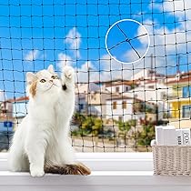 ねこ◎トラブル防止の為プロフ必読専用⑤ 81ksBCHNJXL._AC_UL210_SR210,